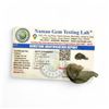 Image 3 : 1.5 inch Moldavite 3.852 gms