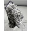 Image 2 : 2.2 INCH PURPLE CALCITE WITH FLUORITE SPECIMEN