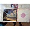 Image 10 : Multiple Hawaiian Books & Records