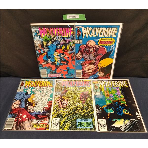 Wolverine # 7, 18, 19, 22, 24 (1990)