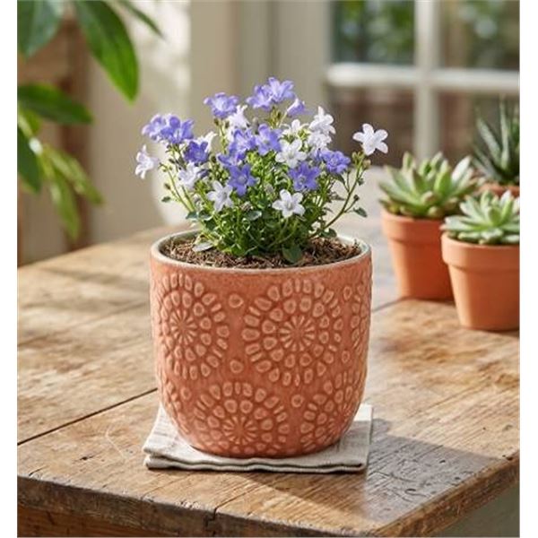 Stone & Beam Floral Embossed Planter Small
