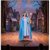 Image 1 : Horolam Fairy Godmother Costume Set