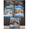 Image 2 : LOT OF 5 - Smartpond Pond Liner Patch Lot of 5