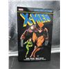 Image 2 : X-Men Epic Collection: God Loves, Man Kills