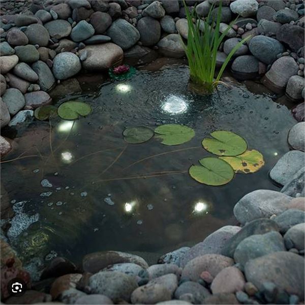 Smartpond Mini LED Lights, 6 Pack