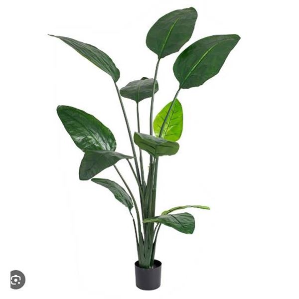 Artificial Plant in Black Pot