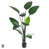 Image 1 : Artificial Plant in Black Pot