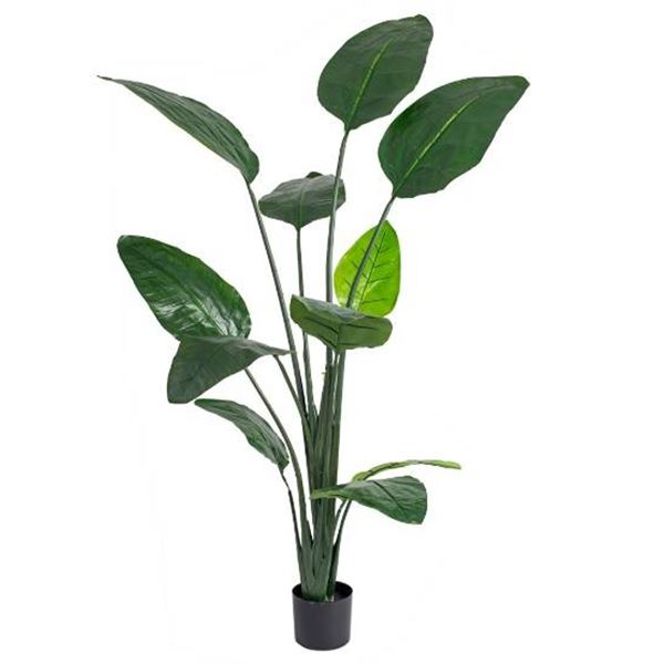 FSOHOH Artificial Plant in Box
