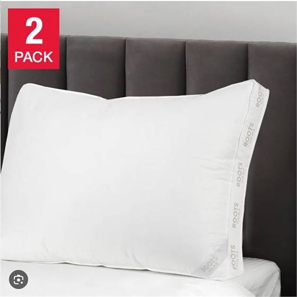 Roots Home Polyester Pillows