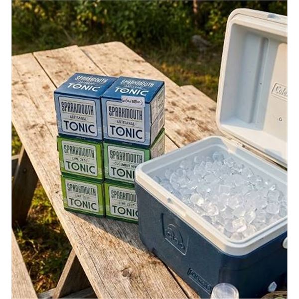 Sparkmouth Tonic Assorted 6-Pack (355ml x 4)