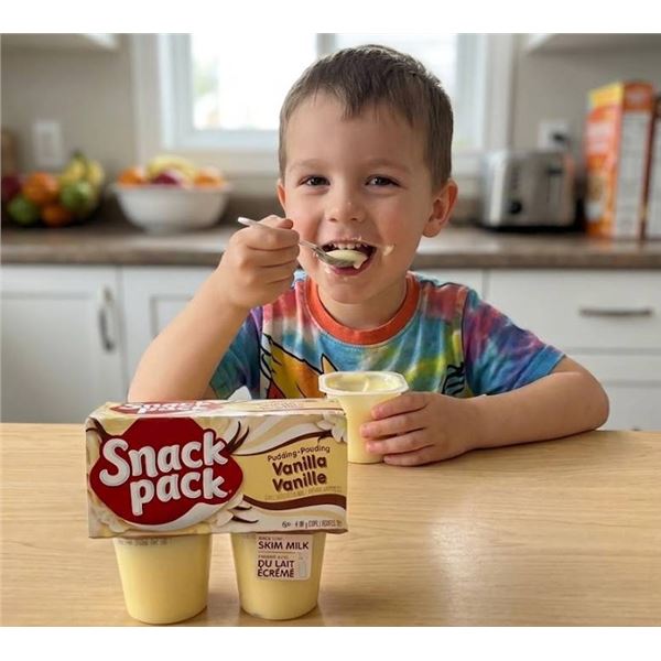 Snack Pack Vanilla Pudding 12 x 396g