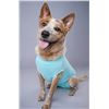 Image 1 : Dog Recovery Suit (Medium, Teal)