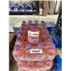 Image 4 : Chubby Bubble Gum Soda 48x250ml pack