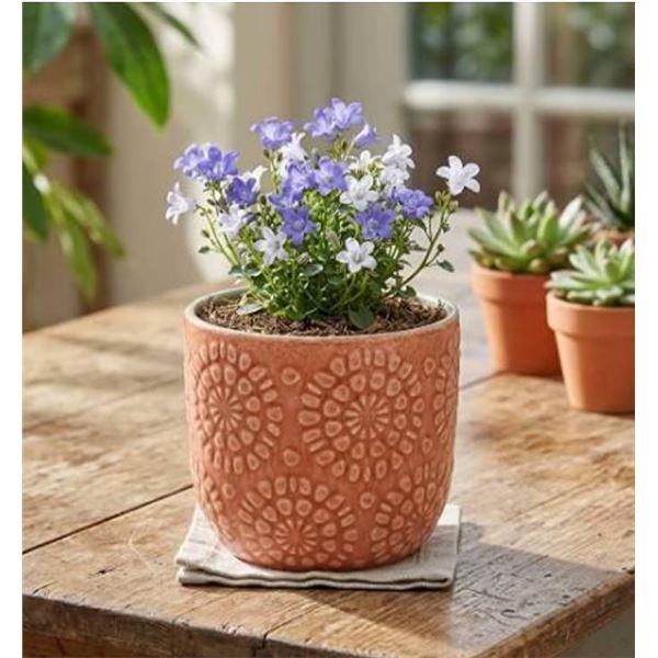 Lot of 3 - Stone & Beam Floral Embossed Planters Set