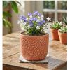 Image 1 : Lot of 3 - Stone & Beam Floral Embossed Planters Set