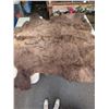 Image 2 : Massive 7ft x 8ft Buffalo Hide In Excellent Condition came from movies size does not include Tail