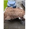 Image 4 : Massive 7ft x 8ft Buffalo Hide In Excellent Condition came from movies size does not include Tail