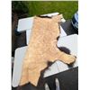 Image 5 : Massive 7ft x 8ft Buffalo Hide In Excellent Condition came from movies size does not include Tail