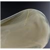 Image 7 : Bamboo Shoehorn