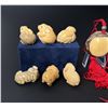 Image 6 : Japanese Tagua Nut Netsuke Zodiac Animals