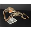 Image 1 : Western Cowboy Horse Curb Bit