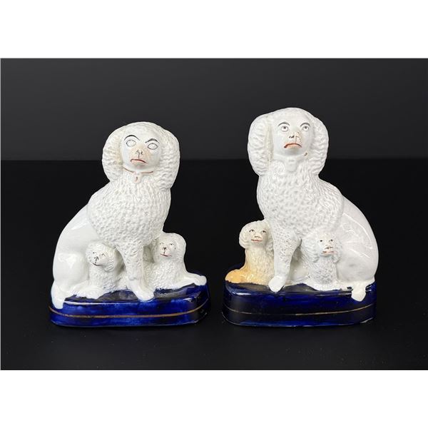 Staffordshire Poodles and Puppies Dogs