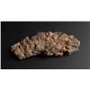 Image 2 : Native Copper Butte Montana Mineral Specimen