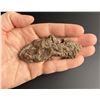 Image 4 : Native Copper Butte Montana Mineral Specimen