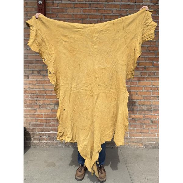 Tanned Leather Montana Elk Hide