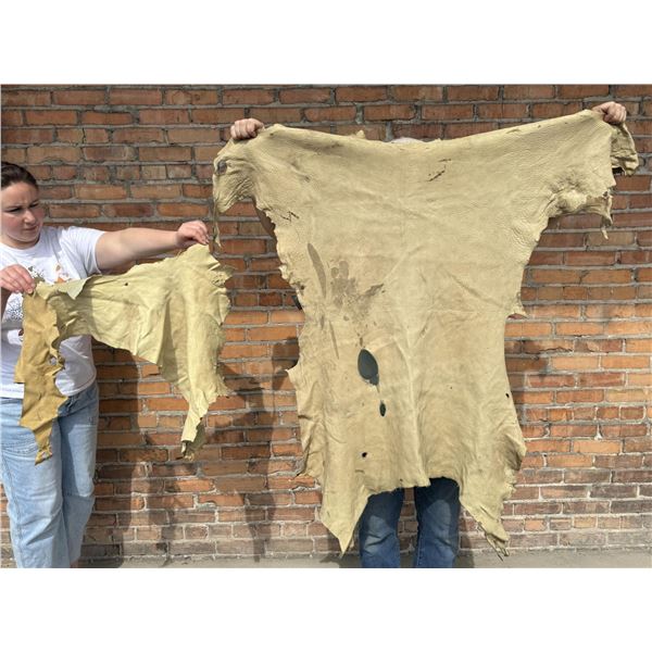 Tanned Leather Montana Deer Hides