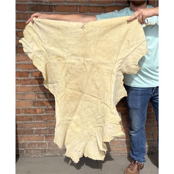 Tanned Leather Montana Deer Hide