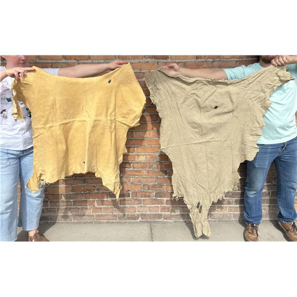 Tanned Leather Montana Deer Hides