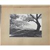 Image 14 : Alfred Noack Genoa Italy Photo Album