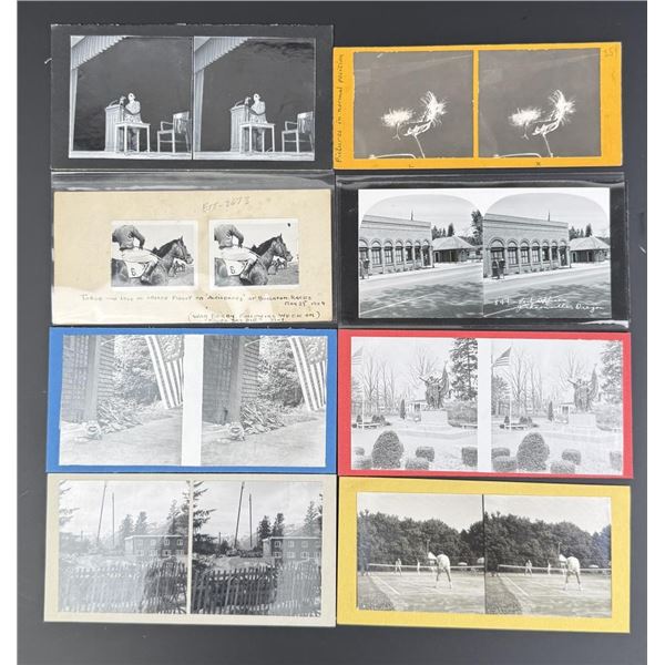 NSA Amateur Photographic Exchange Club Stereoviews