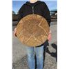 Image 5 : Mescalero Apache Native American Indian Basket