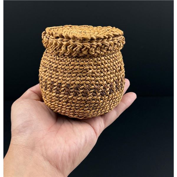 Chehalis Native American Indian Lidded Basket