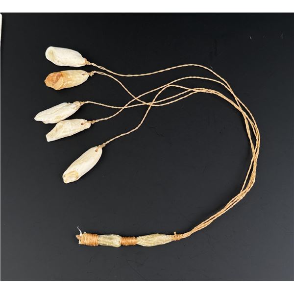 Alaskan Inuit Eskimo Walrus Tooth Hunting Bola