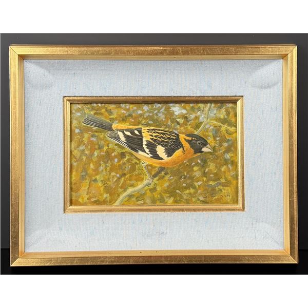Sheridan Winslow Oman Grosbeak Painting