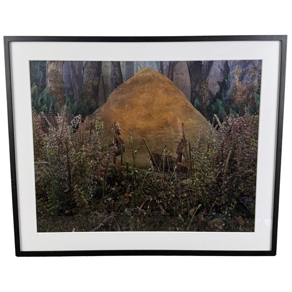 Gregory Crewdson Natural Wonder Chromogenic Print