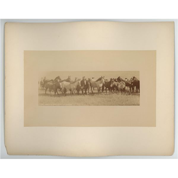 Truman Ward Ingersoll Dakota Territory Photo