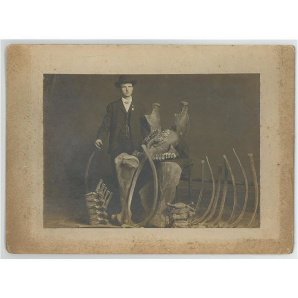 1909 Mastadon Skeleton Photo