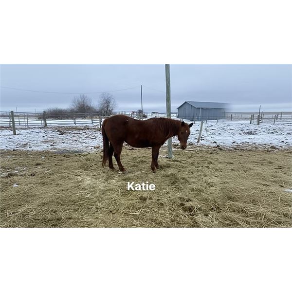 Katie