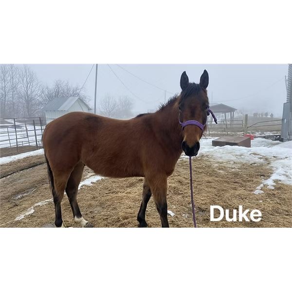 Duke