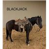 Image 1 : Blackjack