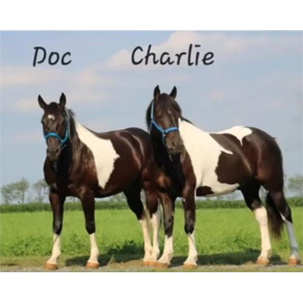 Doc & Charlie