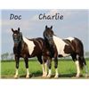 Image 1 : Doc & Charlie