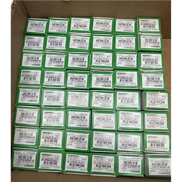Lot of (48) Schneider Electric #ZB2BWB41C