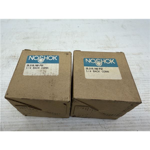 Lot of (2) Noshok #25.310.160 PSI