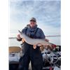 Image 3 : Trophy Walleye Fishing in North Dakota for Two Hunters