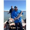 Image 4 : Trophy Walleye Fishing in North Dakota for Two Hunters